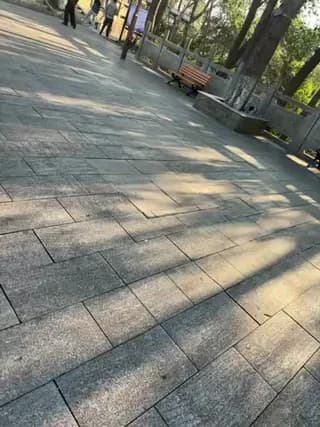 qingqing-ss - stripchat