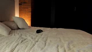 rachel_rey - chaturbate