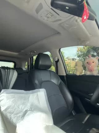 sexi_noemi - stripchat