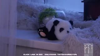 taitehambelton - chaturbate