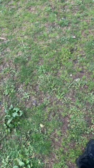 vampirexslayerx - cam4