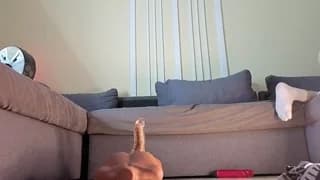 viksons - chaturbate