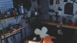 vulagarmanners_ - stripchat