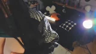 vulagarmanners_ - stripchat