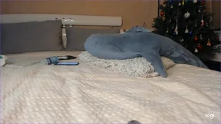 Diamond_D_ - stripchat