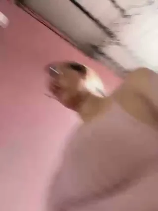 Gatitacarlita - stripchat