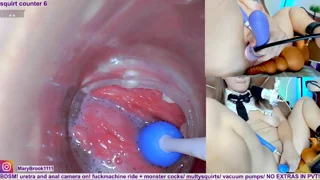 MaryBrook1 - stripchat