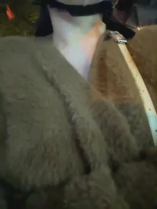 Meii-meyy - stripchat