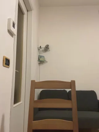 Sashabunny - stripchat