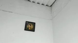 Yenifer_maicol - stripchat