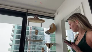 graciemae_baexx - chaturbate