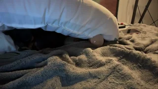 little_lies thumbnail