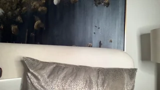 lolasinclairr - chaturbate