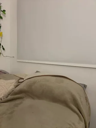 oriana_zoeee - stripchat