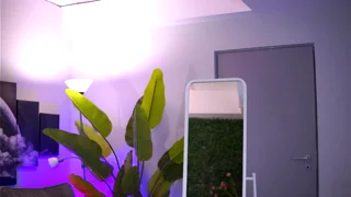 raquellevon - chaturbate