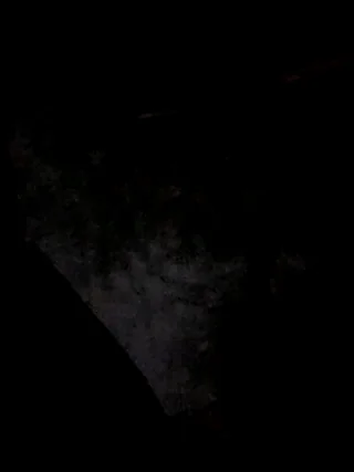 royalgirls_x - stripchat