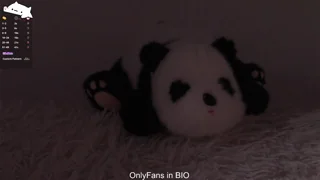 taitehambelton - chaturbate