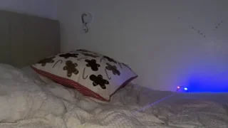 taliavaine - chaturbate