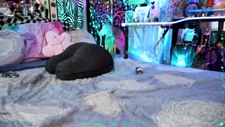 xaevynne - chaturbate